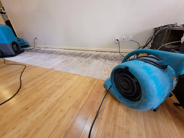Professional Water Damage Repair technician working in Martinsville, NJ